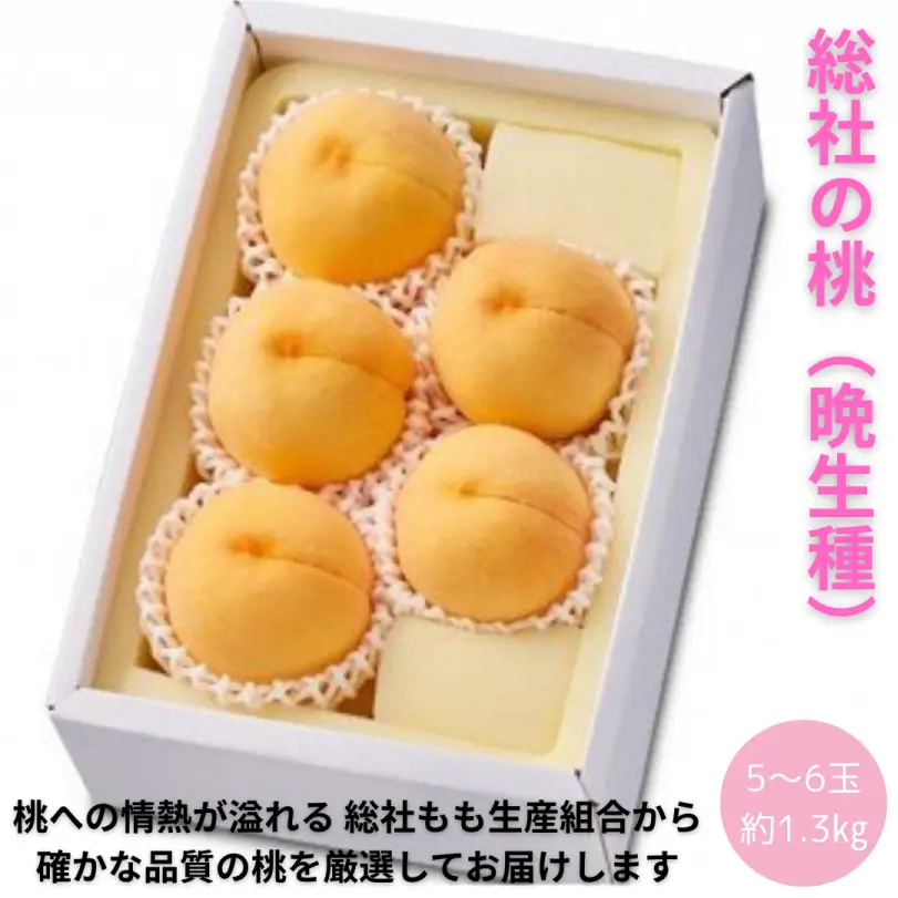 総社の桃　晩生(おくて)種　約1.3㎏（5～6玉）【8月上旬～9月中旬発送】