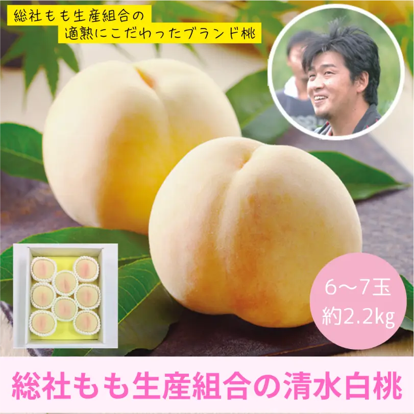 総社の清水白桃　約2.2㎏（大玉6～7玉）【7月下旬～8月上旬発送】