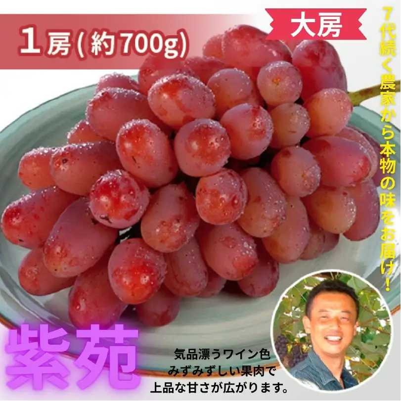 今井果樹園の紫苑1房（大房・約700g）【11月上旬～12月上旬発送】