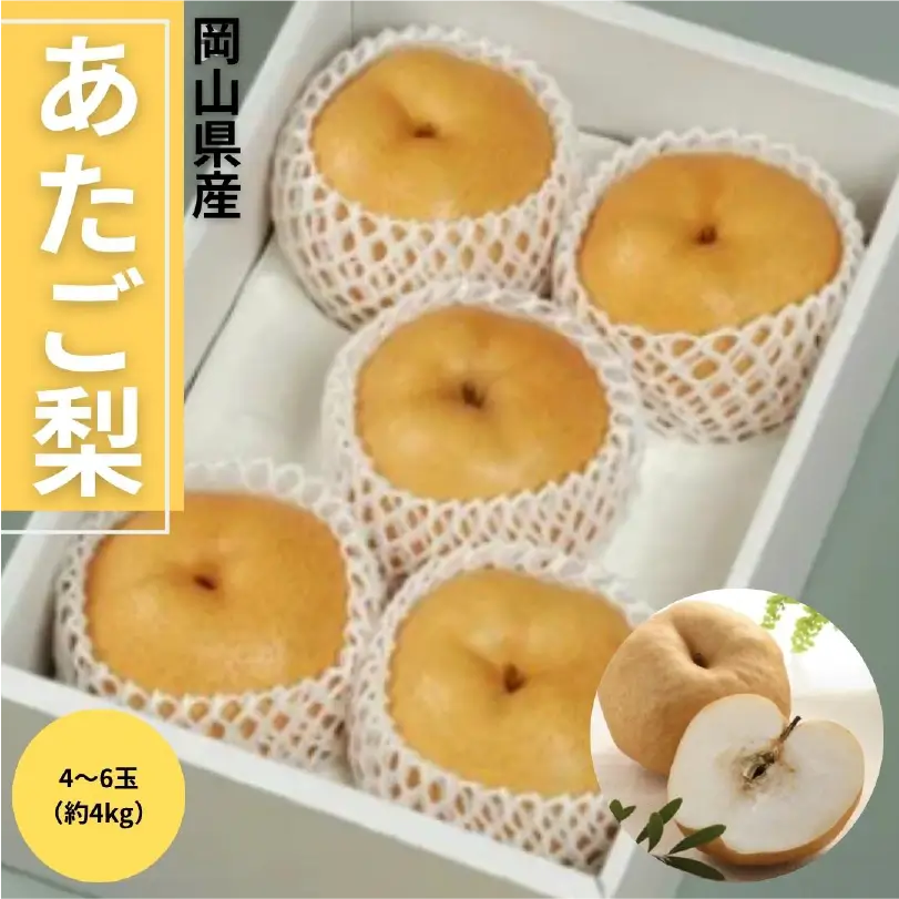岡山県産あたご梨　4～6玉（4.0kg）【11月下旬～12月中旬発送】