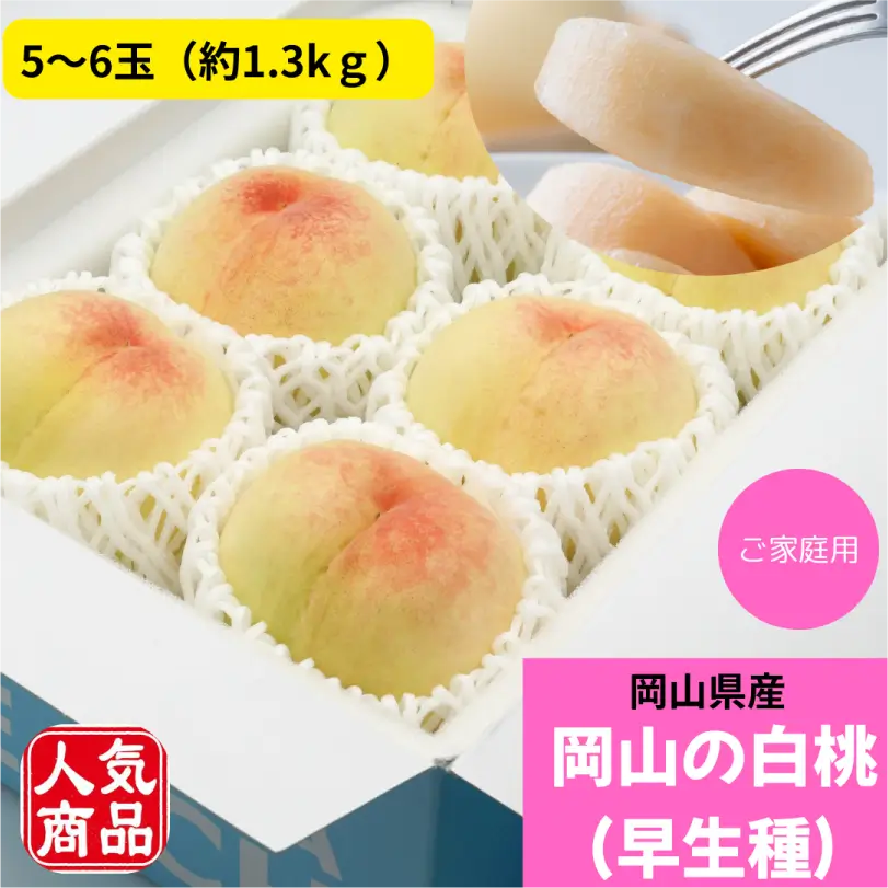 お徳用　岡山の白桃（早生種）　約1.3kg（5～6玉）【6月下旬～7月中旬発送】
