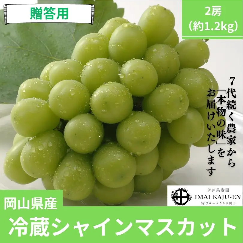 冷蔵シャインマスカット2房（約1.2kg）【11月上旬～12月下旬発送】