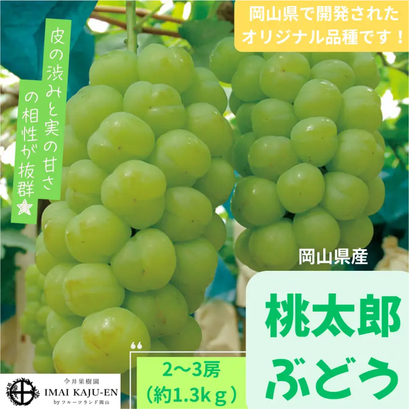 桃太郎ぶどう　約1.3㎏（2～3房）【9月上旬～9月下旬発送】