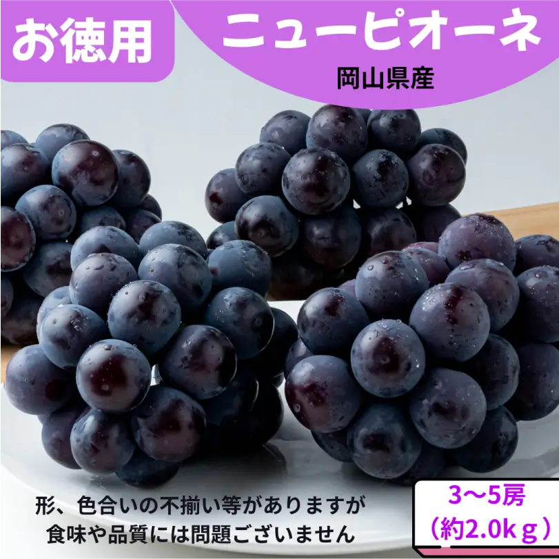 お徳用ニューピオーネ　約2.0kg（3～5房）【8月下旬～9月下旬発送】