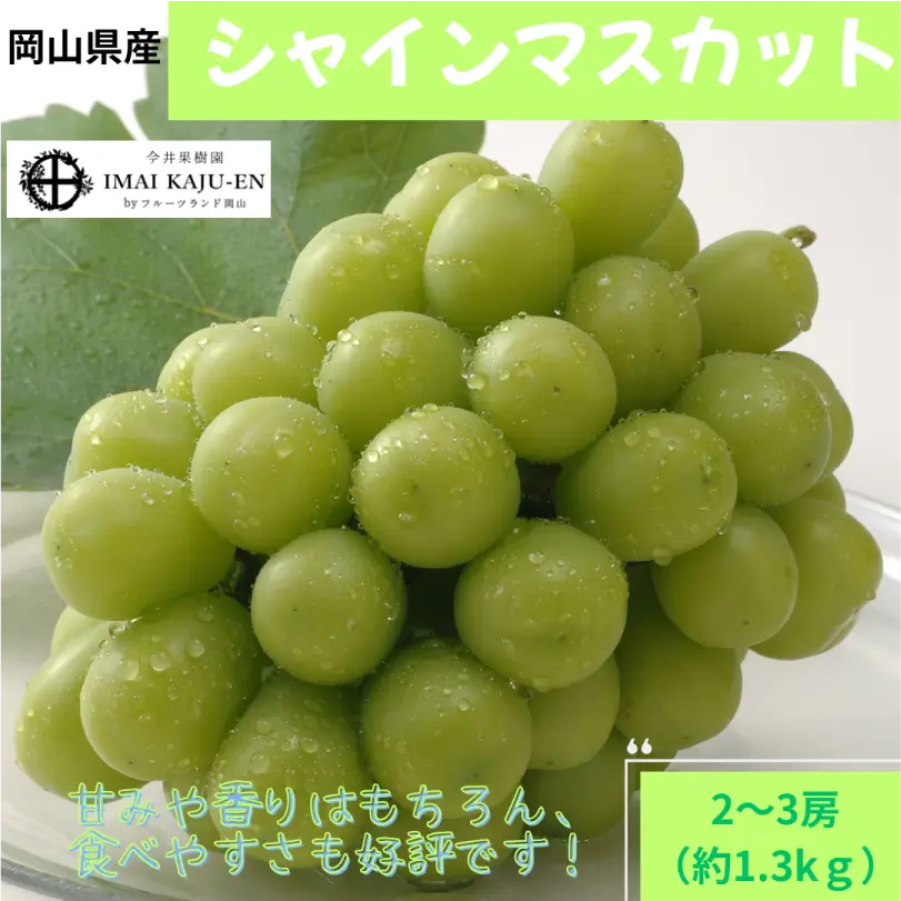 シャインマスカット　約1.3㎏（2～3房）【9月上旬～9月下旬発送】