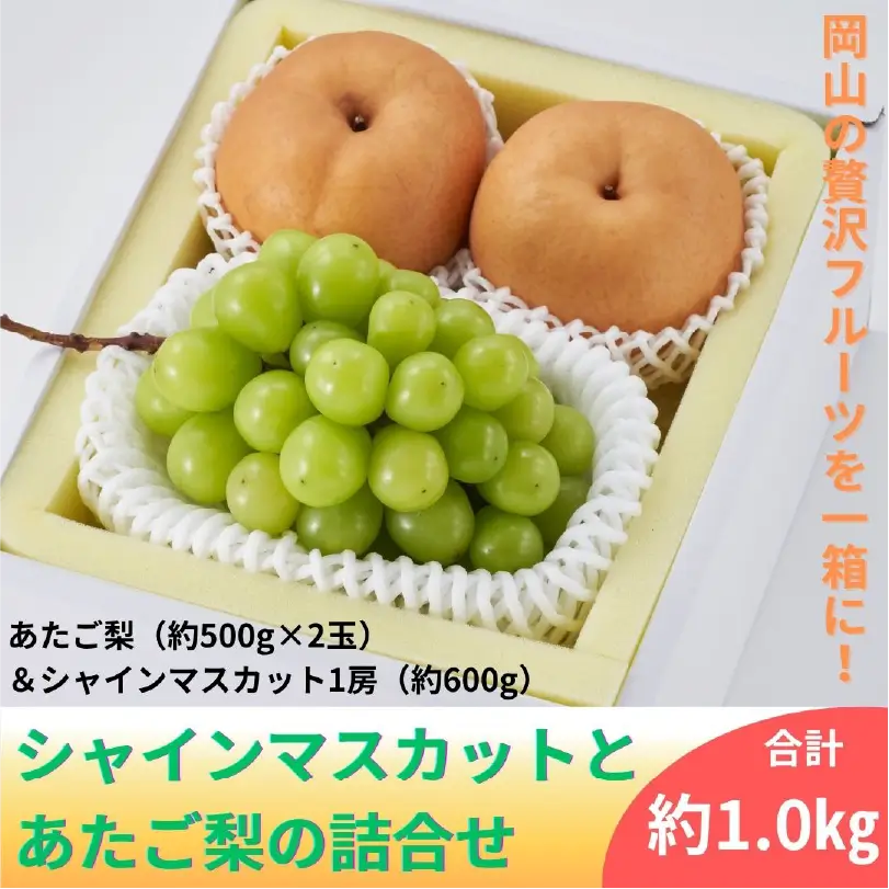 シャインマスカットとあたご梨の詰合せ【11月下旬～12月下旬発送】