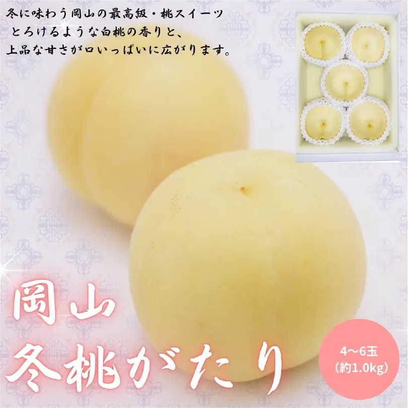 岡山冬桃がたり　約1.0kg（4～6玉）【11月下旬～12月中旬発送】