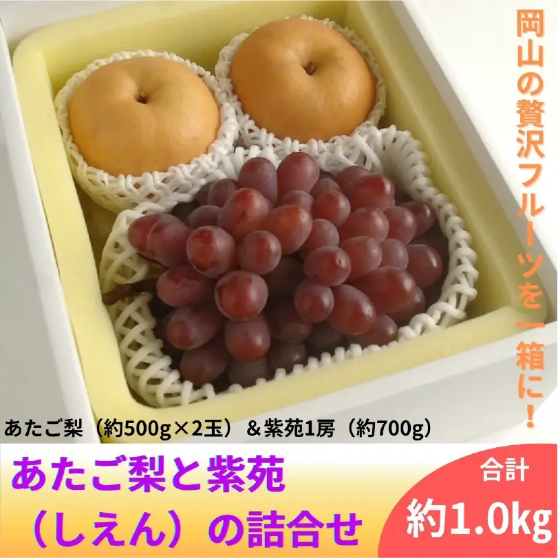 あたご梨と紫苑（しえん）の詰合せ【11月下旬～12月上旬発送】