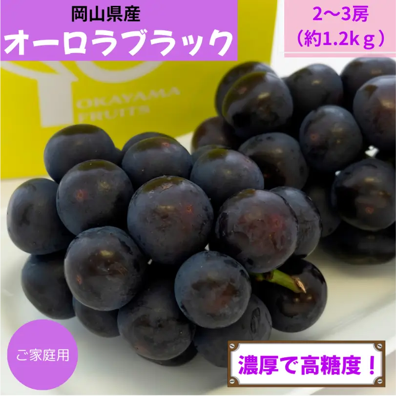 お徳用　岡山県産オーロラブラック　約1.2kg（2～3房）【8月下旬～9月下旬発送】