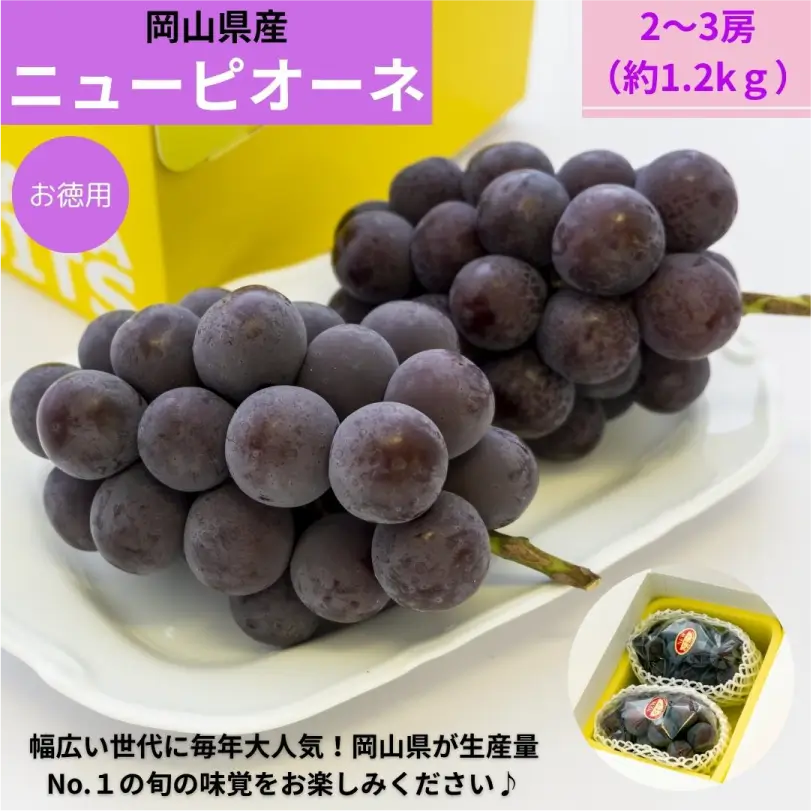 お徳用　秋の岡山県産ニューピオーネ約1.2kg（2～3房）【9月下旬～10月上旬発送】