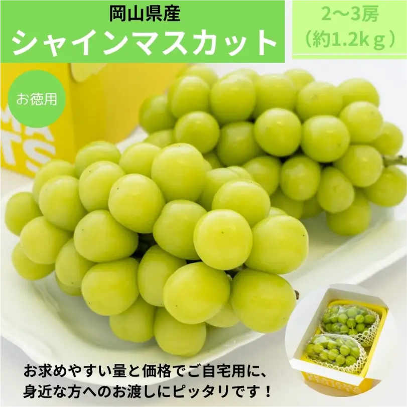 お徳用　秋の岡山県産シャインマスカット約1.2kg（2～3房）【9月下旬～10月下旬発送】
