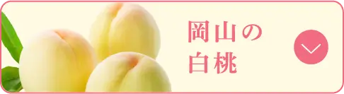 岡山の白桃