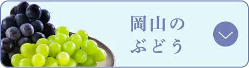 岡山のぶどう