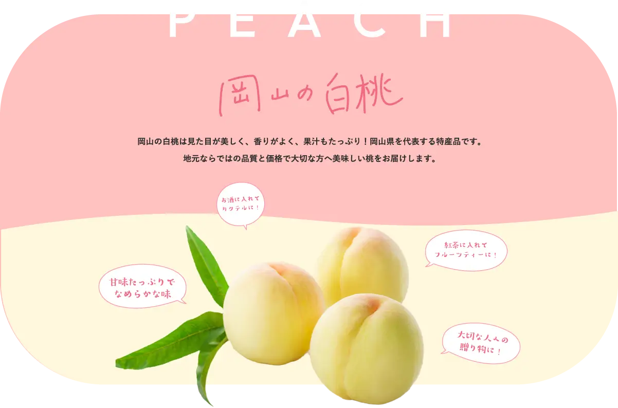 岡山の白桃