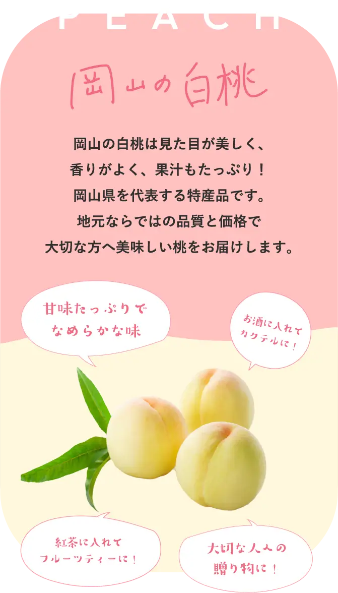岡山の白桃