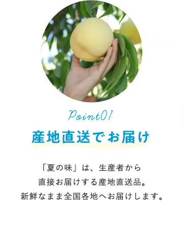産地直送でお届け