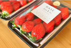 朝採れ完熟いちご