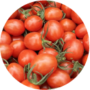 高品質ミニトマト・せとうちルビー試食販売会