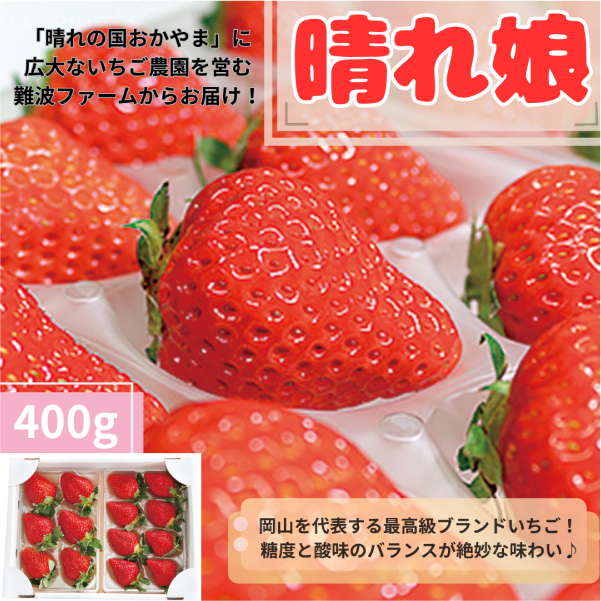大粒いちご・晴れ娘 400g