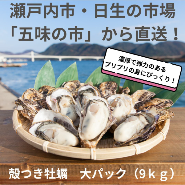 【岡山県日生産】殻つき牡蠣　大パック（9ｋｇ）　1月上旬以降発送