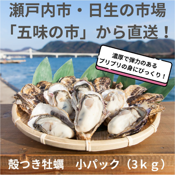【岡山県日生産】殻つき牡蠣　小パック（3ｋｇ）　1月上旬以降発送
