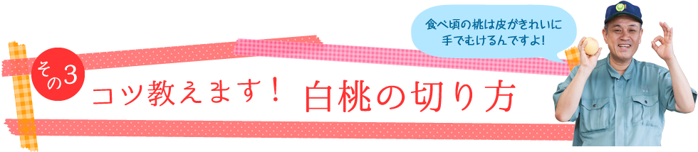 その3　コツ教えます！白桃の切り方