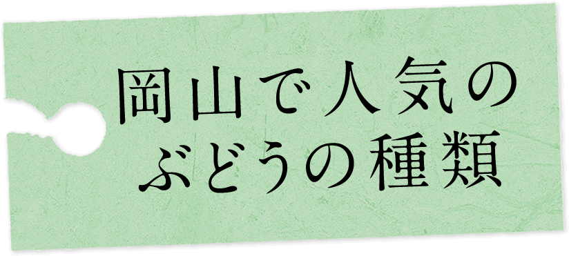 岡山で人気のブドウの種類