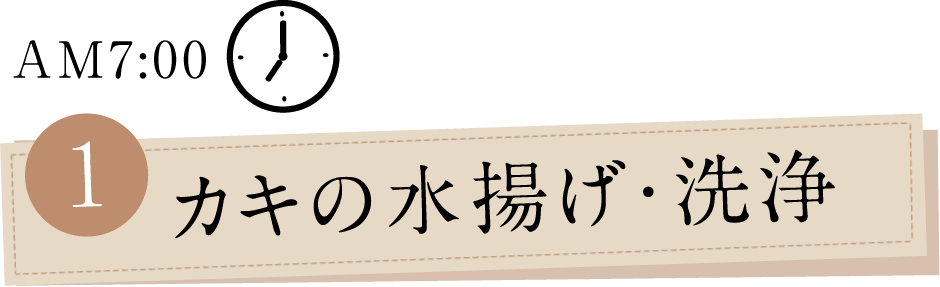 AM7:00 1.カキの水揚げ・洗浄