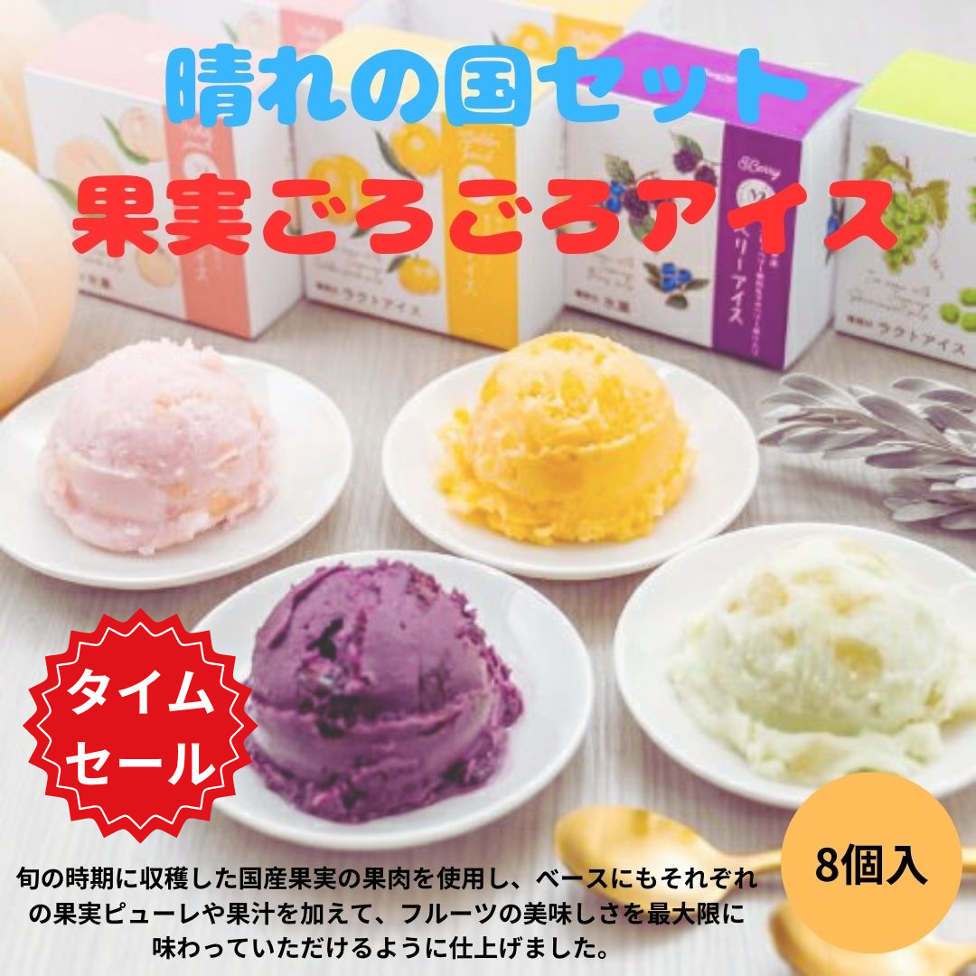 【GW限定セール】晴れの国セット　果実ごろごろアイス8個入