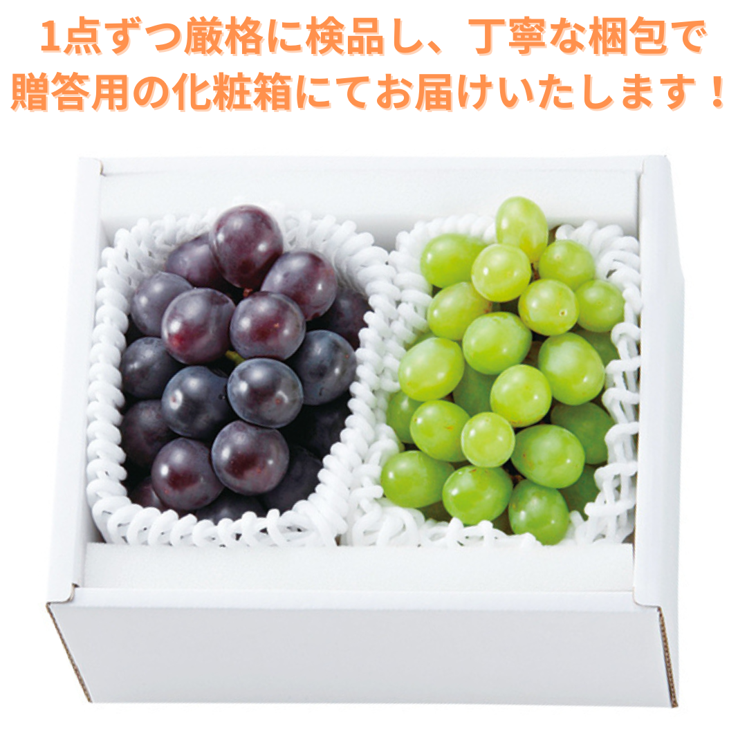 朝採れシャインマスカット、ピオーネ 0727110257_64c1d05149b9c.png