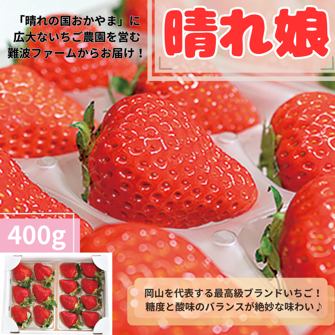 大粒いちご・晴れ娘 400g / 晴れの国おかやま館オンライン