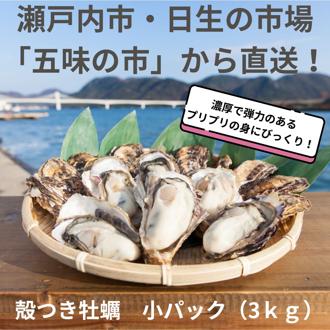 岡山産地直送 日生牡蠣 殻付き，ムキ身セット(小) 全国送料無料
