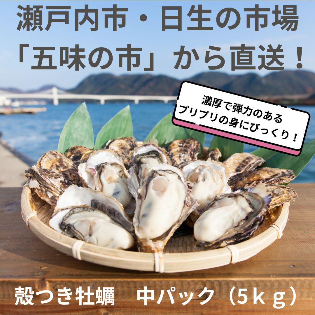 虫明３年牡蠣殻付き一斗缶 かきセットG(3年畜養殻付きカキ 半缶9リットル) - 商品 - 牡蠣
