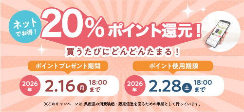 20%ポイント戻ってくる！