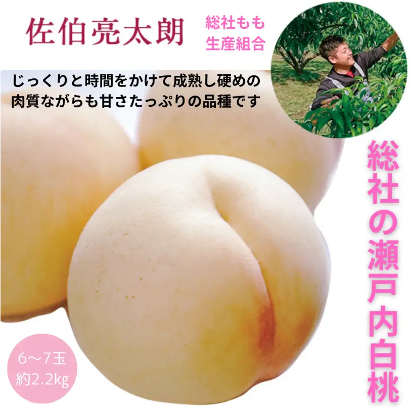 総社の瀬戸内白桃 約2.2㎏(大玉6~7玉)【8月中旬~8月下旬発送】