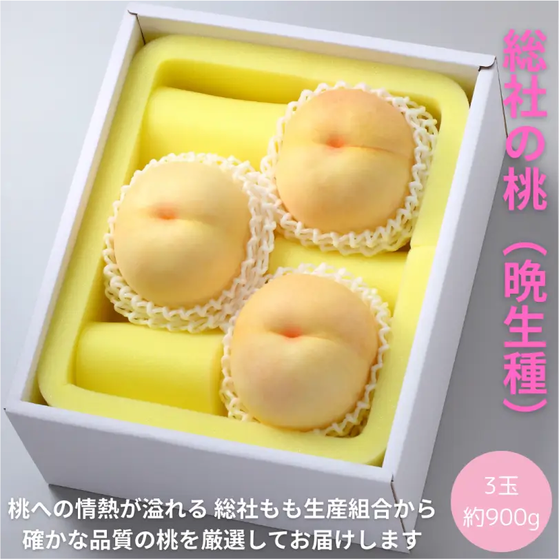 総社の桃 晩生(おくて)種 約900g(3玉)【8月上旬~9月中旬発送】