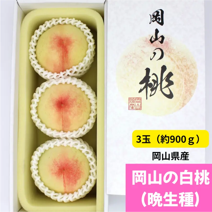 岡山の白桃(晩生種) 約900g(大玉3玉)【7月下旬~8月下旬発送】