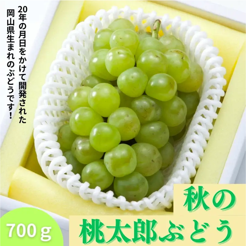 秋の桃太郎ぶどう（大房・約700ｇ）【9月下旬～10月中旬発送】