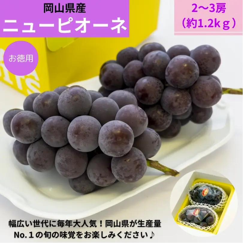 お徳用　秋の岡山県産ニューピオーネ約1.2kg（2～3房）【9月下旬～10月上旬発送】
