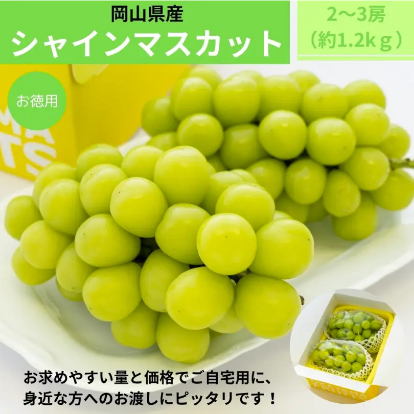 お徳用　秋の岡山県産シャインマスカット約1.2kg（2～3房）【9月下旬～10月下旬発送】