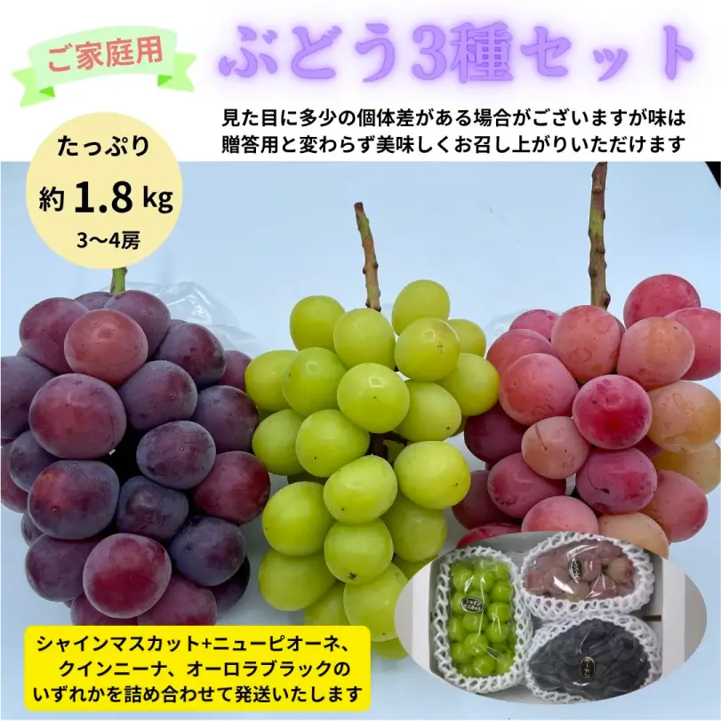 訳ありぶどう3種セット約1.8kg（3～4房）【9月下旬～12月中旬発送】