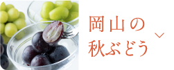 岡山の秋ぶどう