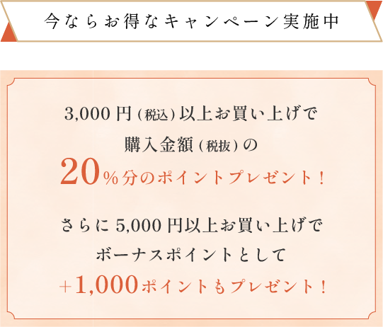 今ならお得なキャンペーン実施中