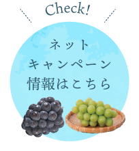ネットキャンペーン情報はこちら
