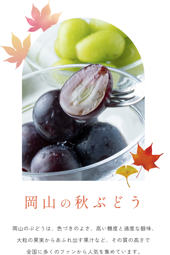 岡山の秋ぶどう