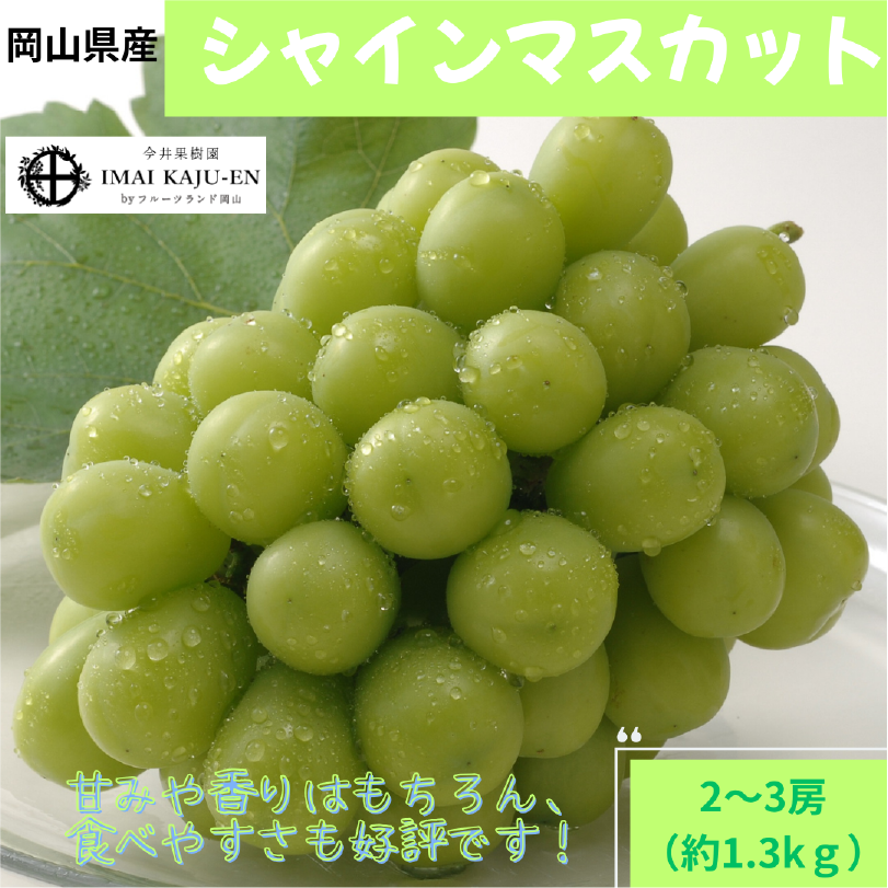 シャインマスカット　約1.3㎏（2～3房）【9月上旬～9月下旬発送】