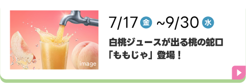 白桃ジュースが出る桃の蛇口「ももじゃ」登場!