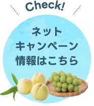 ネットキャンペーン情報はこちら