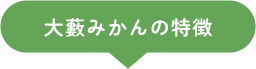 大藪みかんの特徴