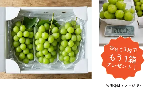 2kgチャレンジ